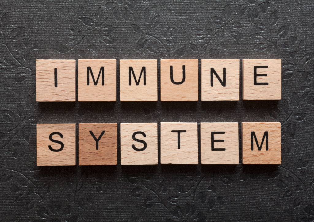 immune-system